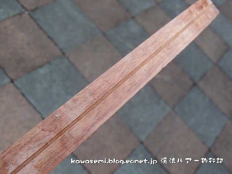 P1010025_2
