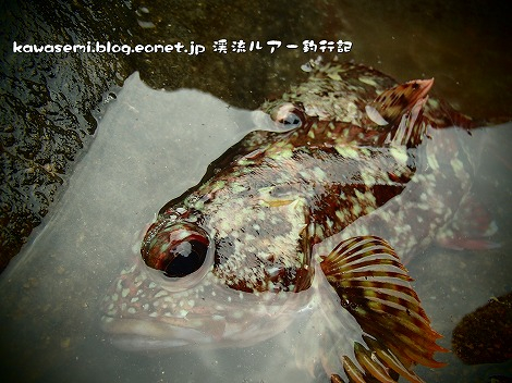 P5030001